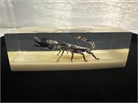 Scorpion in resin