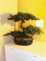Faux bonsai tree (large) table top
