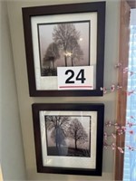 2 tree pictures