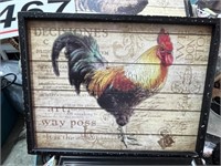 3 rooster pictures