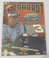 Dale Earnhardt poster on wood wall hanging in