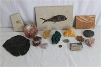 Collection Stones, Petrified Wood, Fish Fossils++