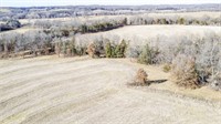 Online Only Farmland Auction- Moniteau County