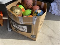 Large Box Assorted Sports Balls