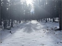 2 Acres of Land for Auction in Colorado