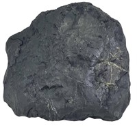 SHUNGITE FORMATION