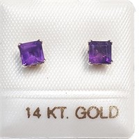 14kt Gold & Amethyst Earrings