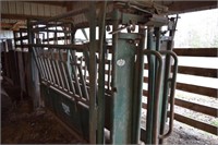 Big Valley Squeeze Chute with Scales