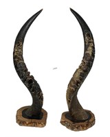 PAIR GOAT HORNS WITH INTRICATE HAND CARVING