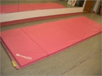 Resilite 4 ft x 12 ft Pink Dance Mat