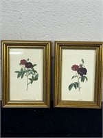 Rosa Gallica 2 framed prints