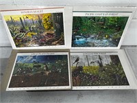 Usps nature of America series 1-4 stamp collection