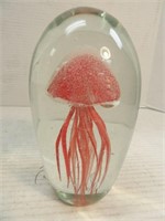 Encased Jellyfish