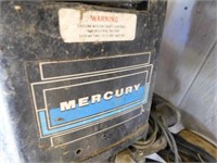 Mercury 25