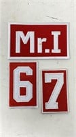 NHL Patches Red Wings Mr. I, 6, 7