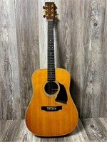 Martin Acoustic Guitar w/ Martin HC