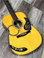 Giannini Steel String ACC Guitar w/ Hard Case