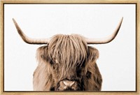 24x36" Highland Cow Framed Canvas Print