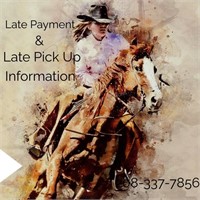 LATE PAYMENT/ LATE INFORMATION