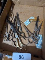 Combs, & Barber Scissors