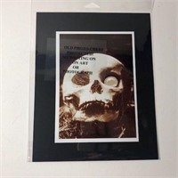 Horror Skull with glass eye see pic packaged
