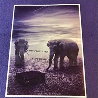 Elephant Photo Print Elephant  8.5x11 packaged