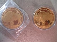2015 & 2017 24k Plated Buffalo Copy Coins 1oz/ea