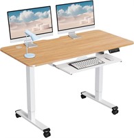 WOKA Electric Standing Desk Adjustable Height, 48