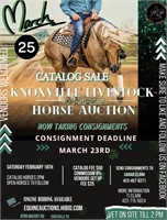 KNOXVILLE LIVESTOCK HORSE AUCTION -MARCH SALE