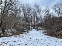 43 +/- Acres Mainly Wooded with a Building Site