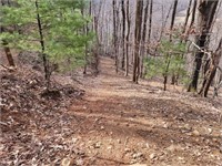 Private Mountain Retreat with Creek in Callaway VA