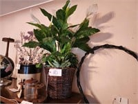 Silk Peace Lily in Basket