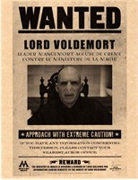 Harry Potter Hogwarts Wanted Prop Print
