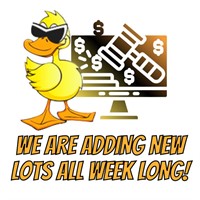 WE ARE ADDING NEW LOTS ALL WEEK LONG!
