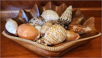 F - SHELL COLLECTION IN WOOD BOWL (A73)