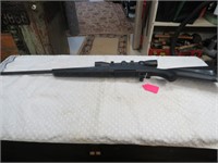 Remington Model 770 .300 Win Mag with Scope