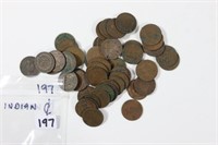 (50) Indian Cents - common/circ