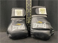 Nice Pair of Everlast Boxing Gloves