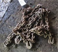 Log chain with (2) hooks. Approx. 18' long.