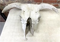 Cow Skull 25.5” x 17”