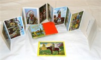 Indians of the West Postcards (NEW) 25 Pcs