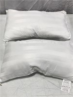 HOMESTYLE PILLOW SET 19x11IN 2PC