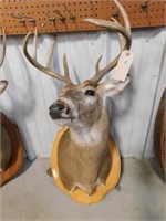 deer mount