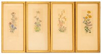 Illegibly Signed Hand Colored Botanical Engravings