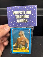 VTG Wrestling Cards Pack-Hogan Champ Ring/Bearhug