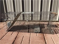 Raccoon size live trap