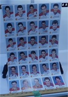 Red Rooster Calgary Flames 87/88 Uncut Sheet