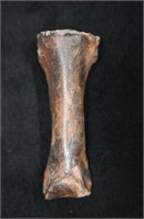 Cretaceous Ken Ken Turtle Fossilized Bone 3 7/8 in