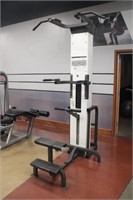 CYBEX ASSISTED CHIN-UP/DIP