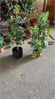 2 medium size artificial plants